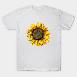 Flower like a sun T-Shirt